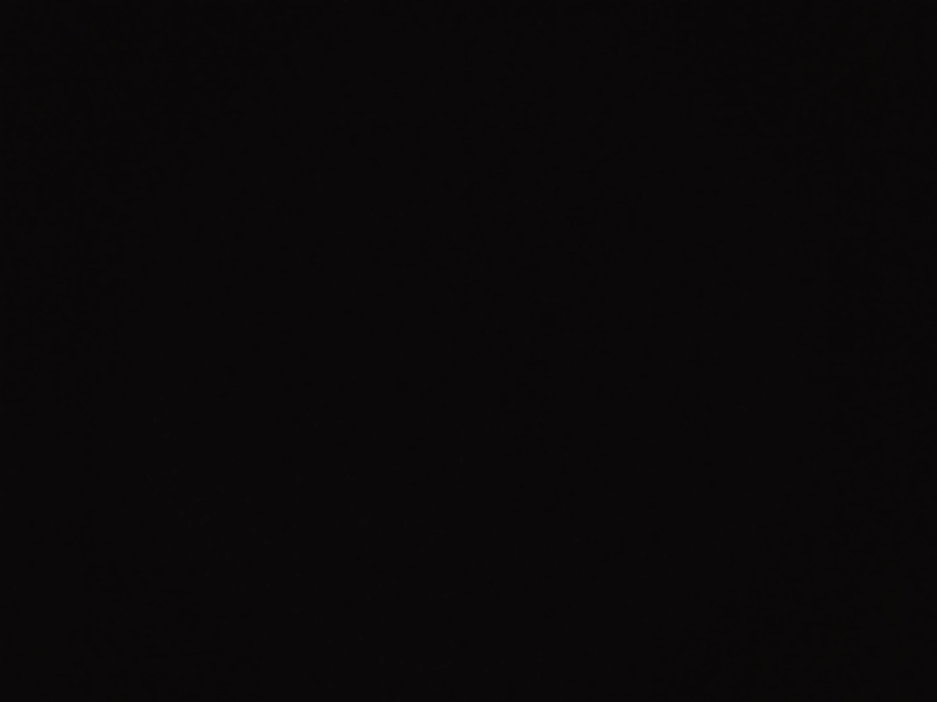 سيامي 2