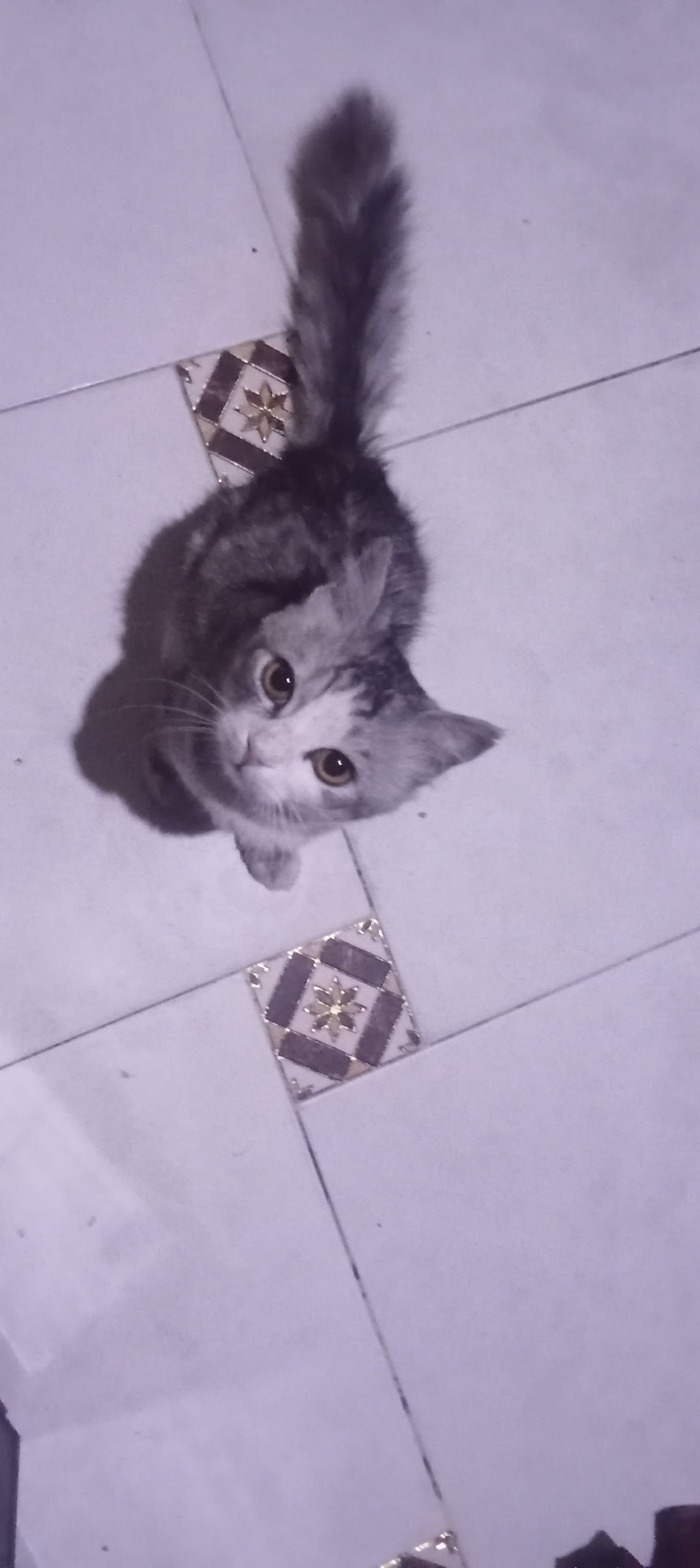 неизвестна 2