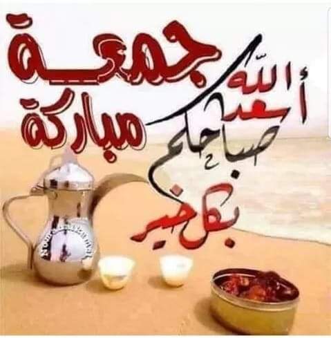 mahmoud salem