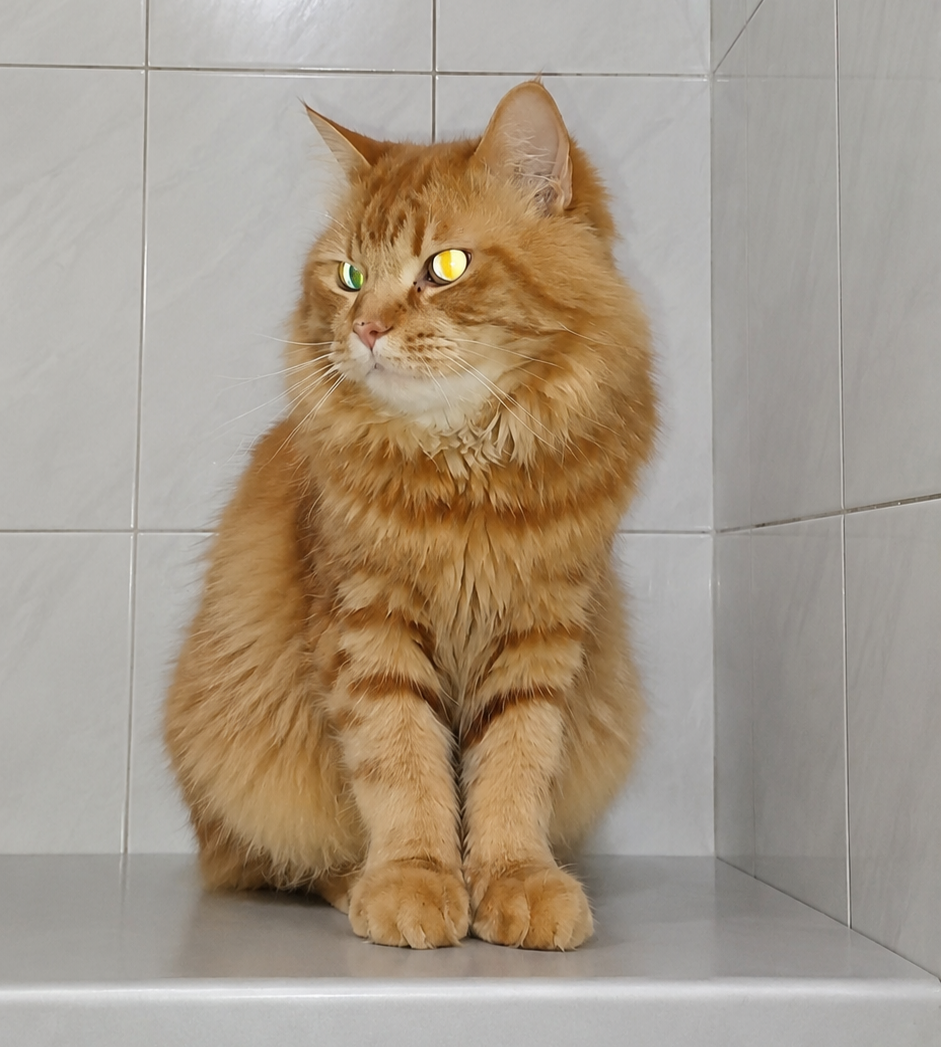 پرشین 2