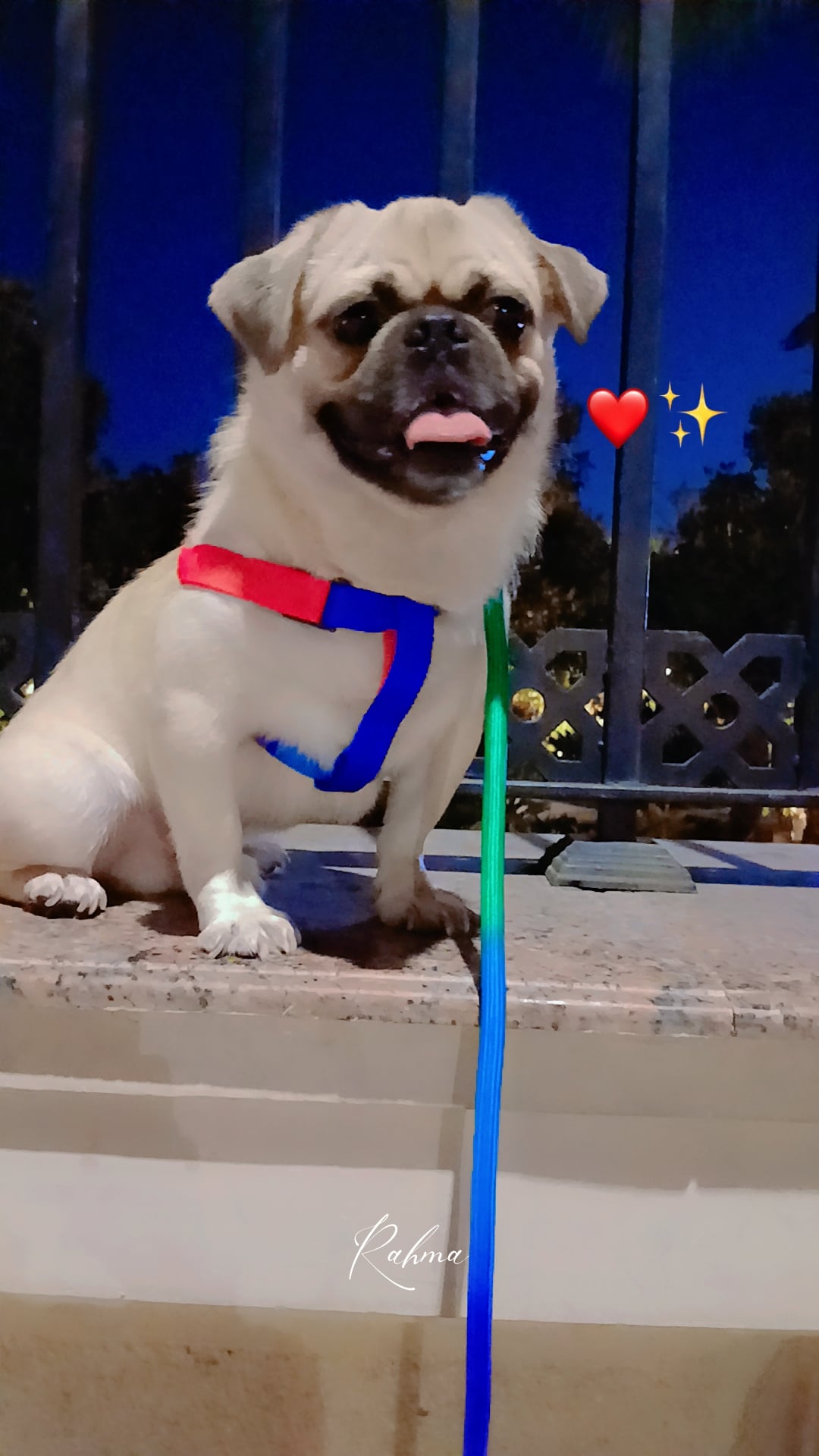 باغ
